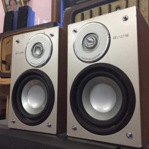 Loa của dàn mini AIWA bass 10cm