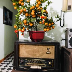 radio cổ chạy đèn của đức