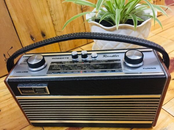 radio roberts rambler của anh